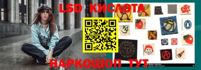 индика Обь