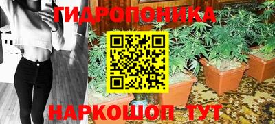 индика Обь
