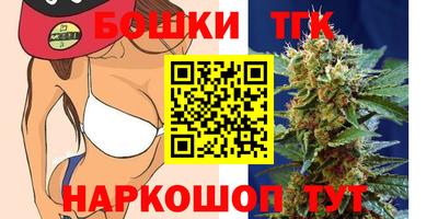 индика Обь