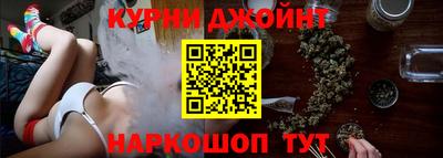 индика Обь