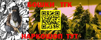 индика Обь