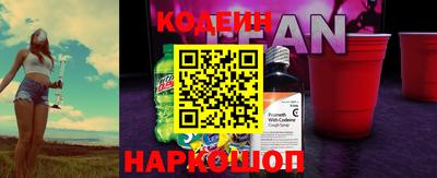 индика Обь