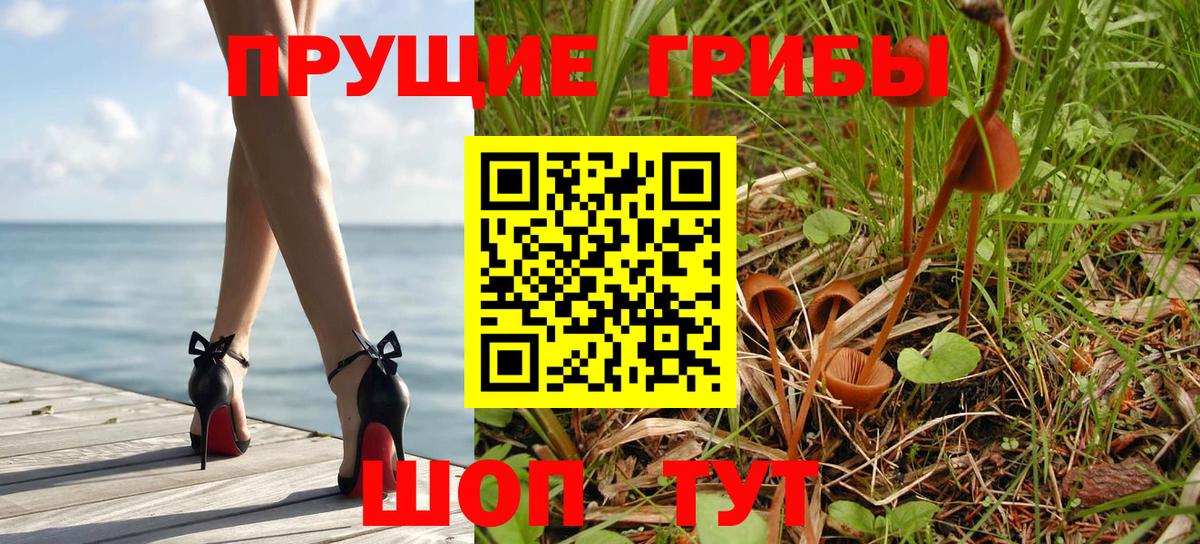 Псилоцибиновые грибы Psilocybine cubensis Топки