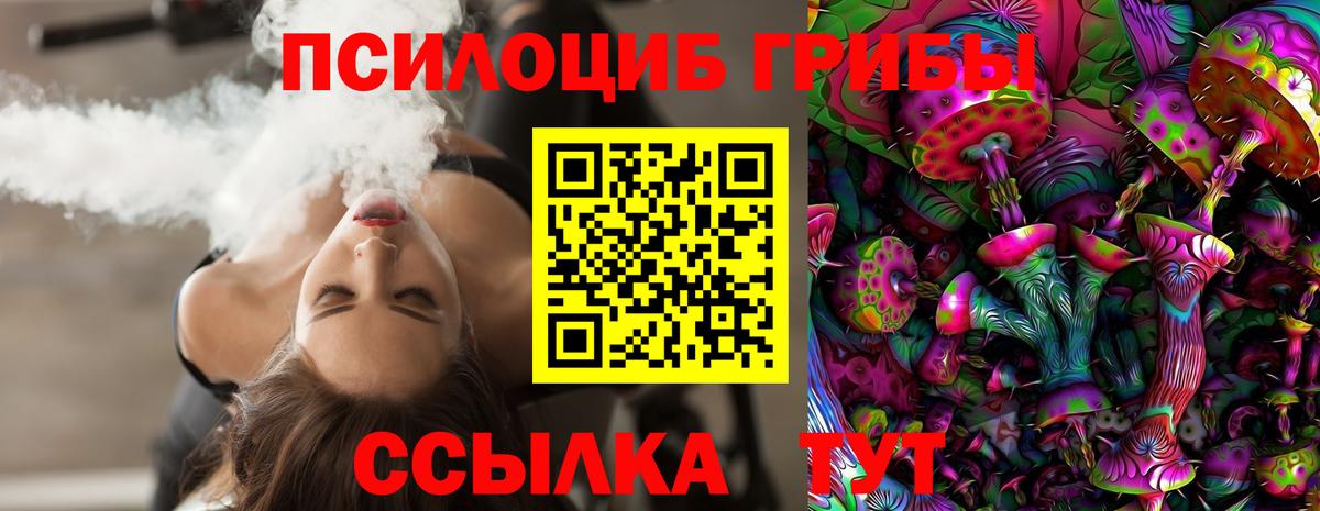 Топки  Псилоцибиновые грибы Cubensis  Вход с VPN 